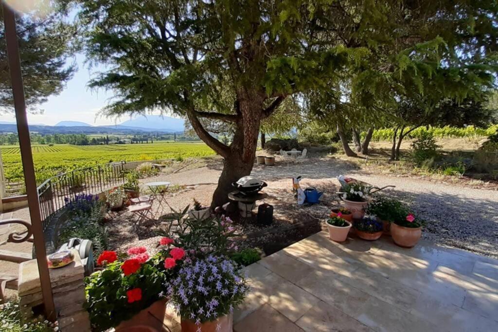 Le Clos Des Pins, Vue Mont Ventoux Roaix Bagian luar foto